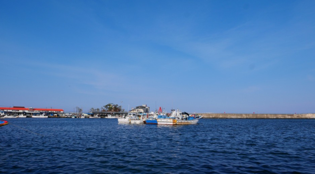 강원 양양 남애항