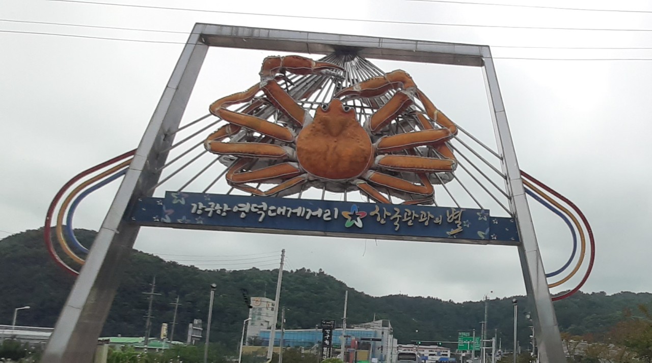 경북 영덕 강구항 - 대게 요리