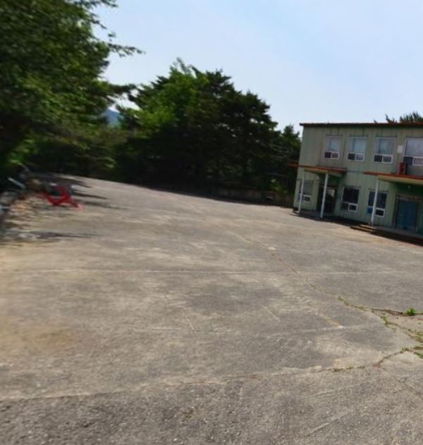 강원 양양 남애항 - 문어 요리