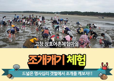 [장호마을]조개 캐기 체험