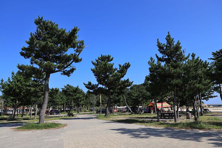 백도오토캠핑장