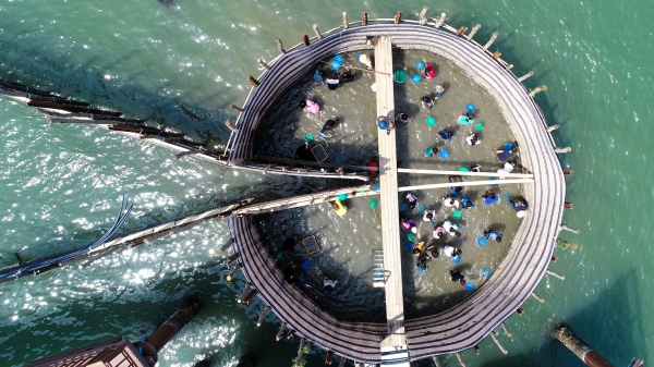 남해 지족어촌체험마을 죽방렴체험소식