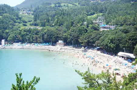 가사동백숲해변