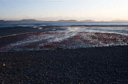 동막해수욕장 (동막해변)