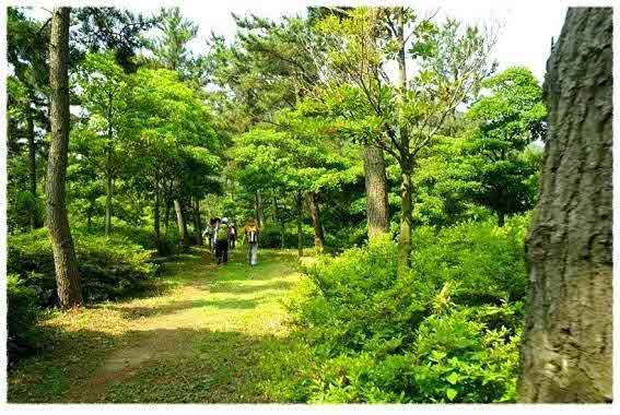 변산마실길 4코스