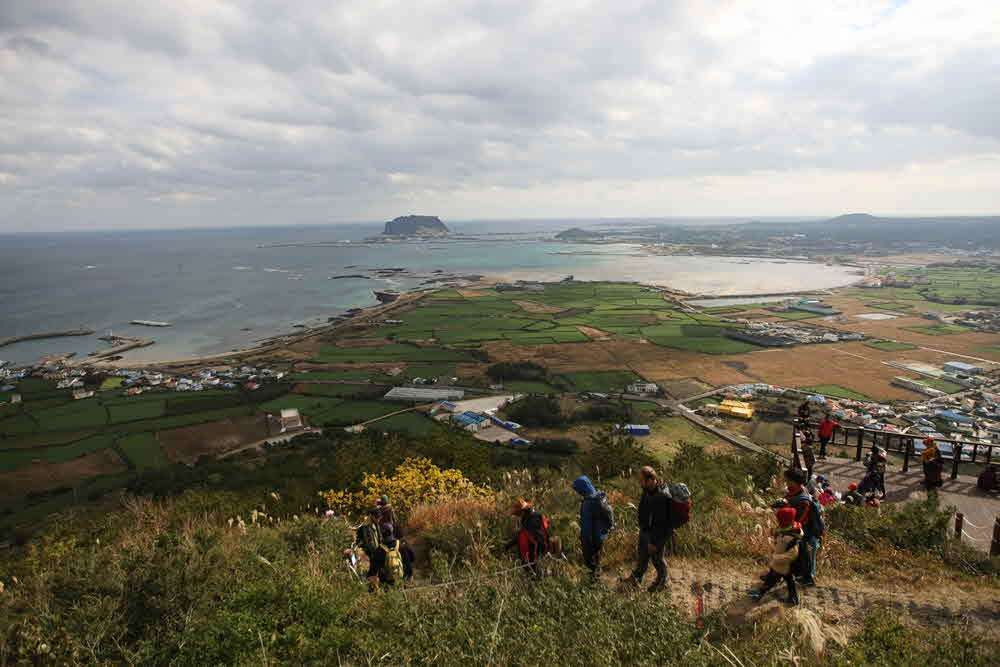 제주 올레길 21코스