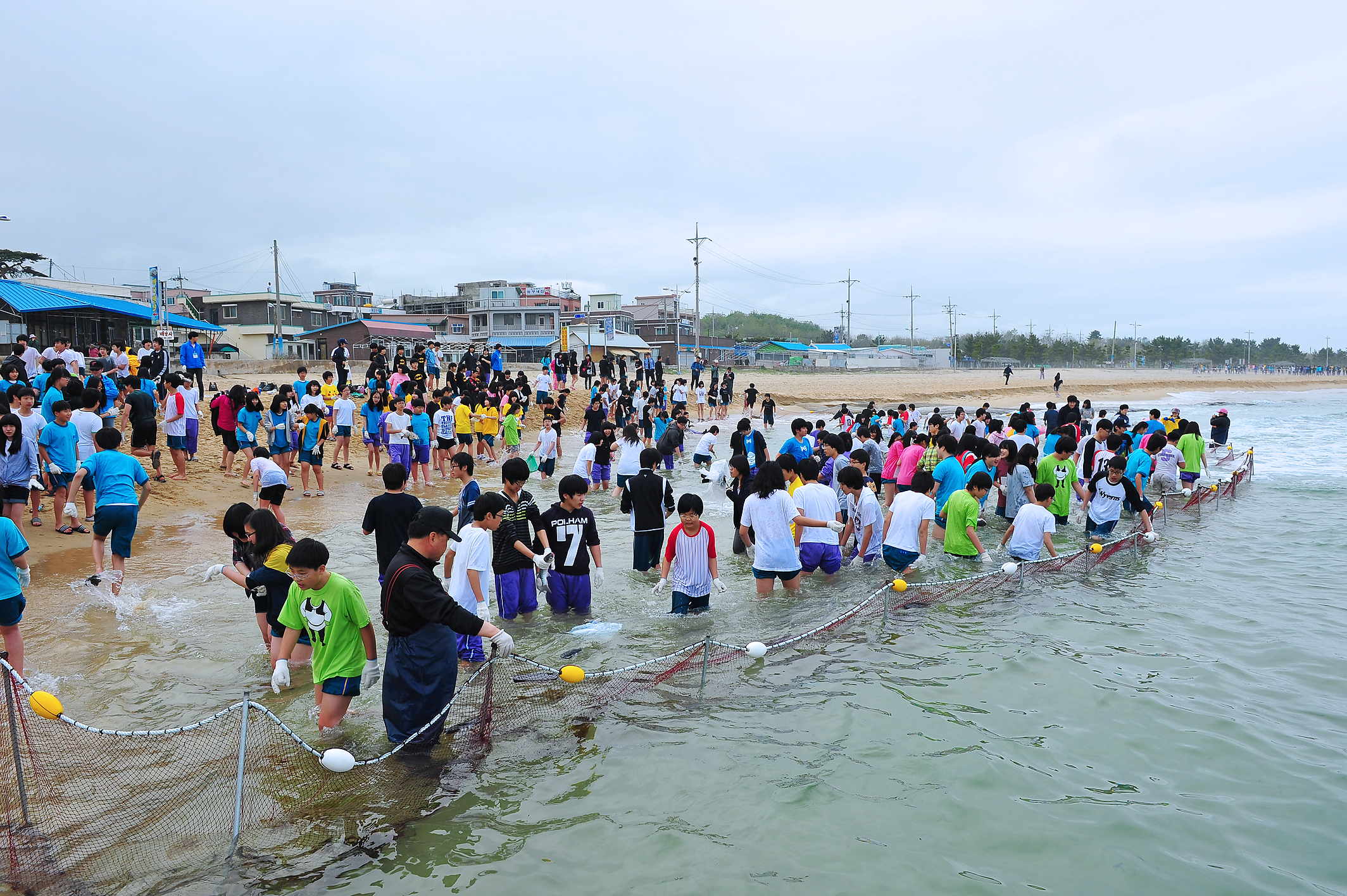 [오호마을]맨손오징어잡이축제