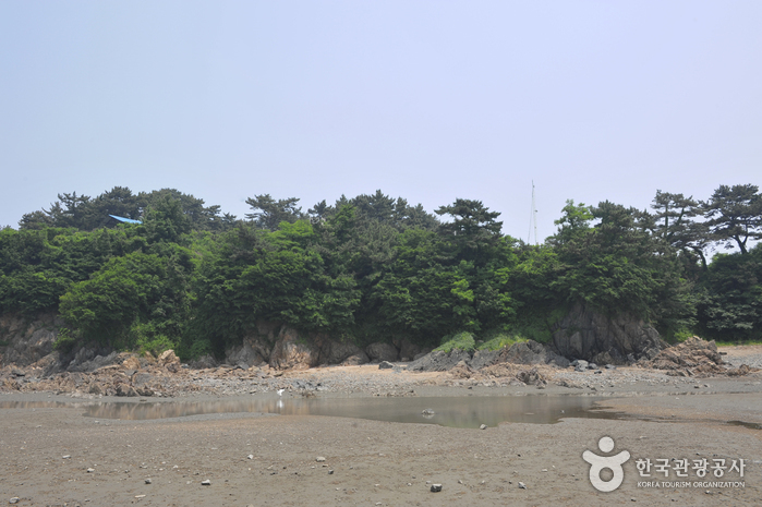 [궁평마을]갯벌생태체험