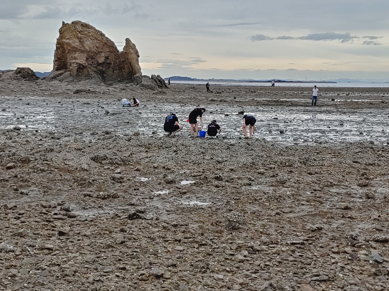 [제부마을]갯벌생태체험