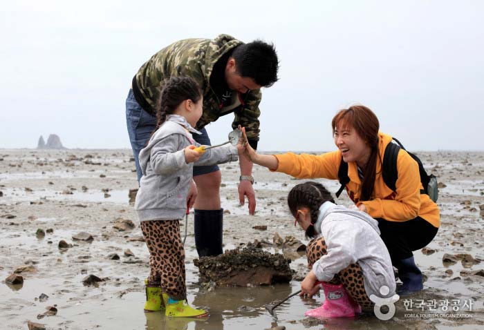 [제부마을]갯벌체험(바지락캐기)
