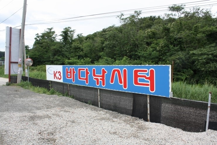 K3