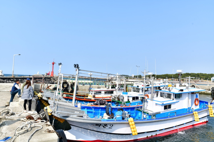 이호체험배낚시