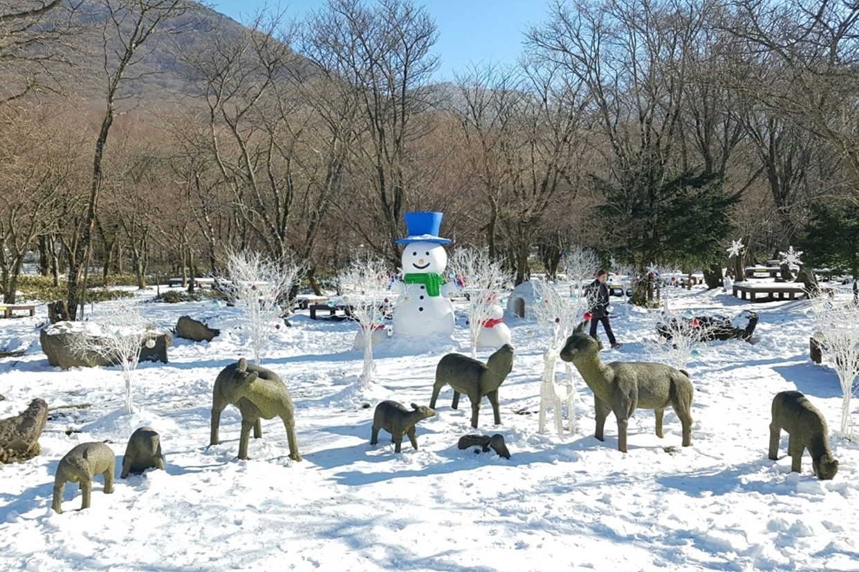 제주윈터페스티벌
