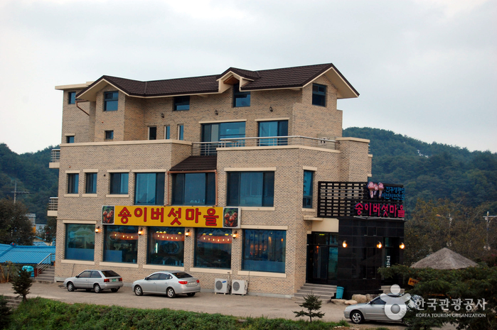 송이버섯마을