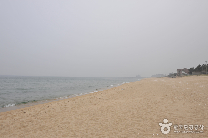 송정해변(송정해수욕장)