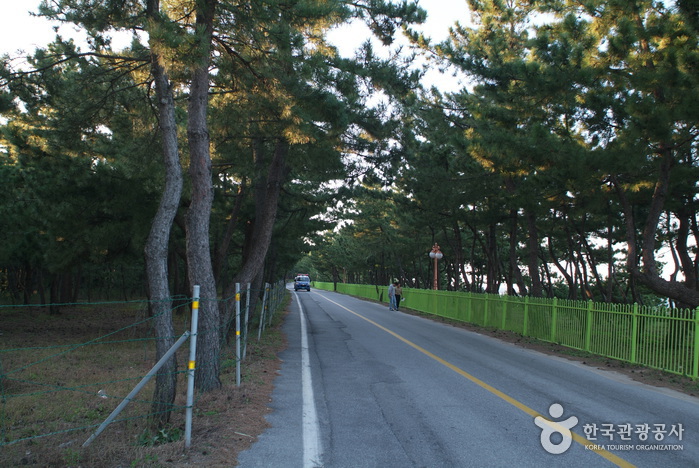 송정해변(송정해수욕장)