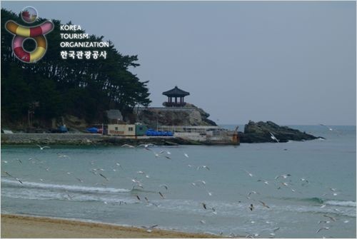 송정해수욕장(낚시터)