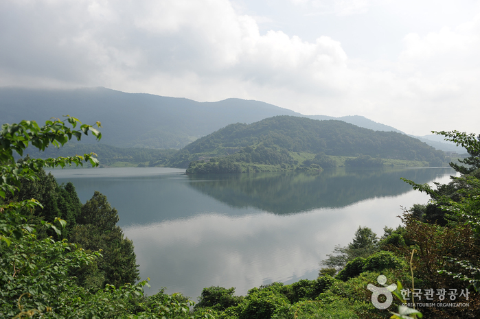 주암호와 상사호