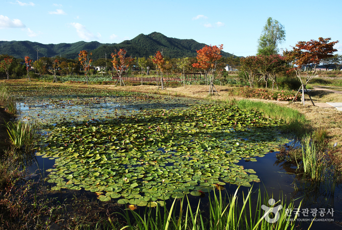 주암호와 상사호