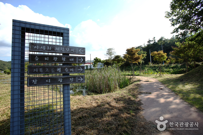 주암호와 상사호