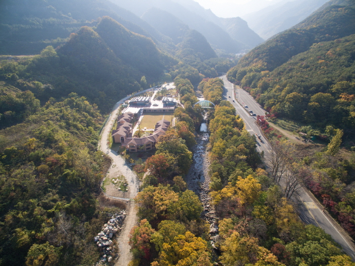 동해무릉건강숲