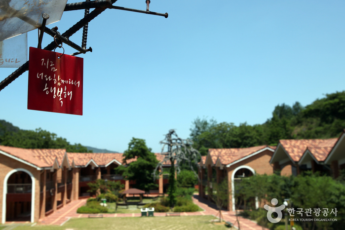 동해무릉건강숲