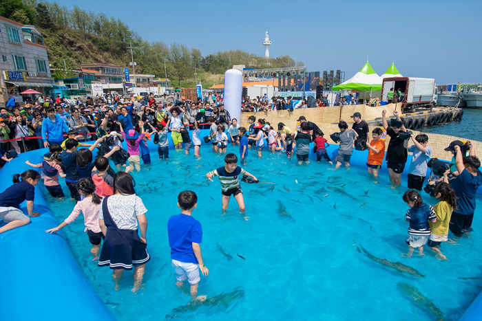 동해안 최북단 저도어장 대문어축제