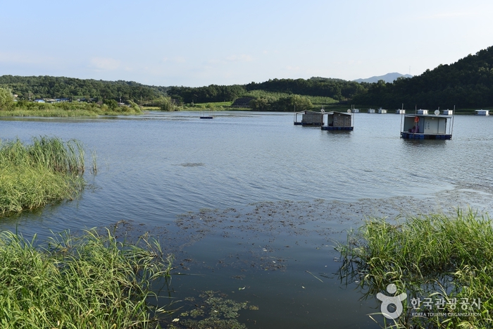 죽산낚시터