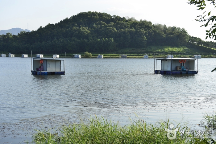 죽산낚시터