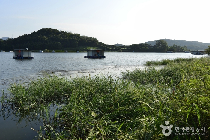 죽산낚시터