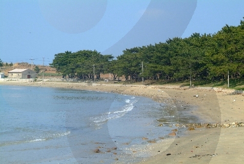 지리해수욕장