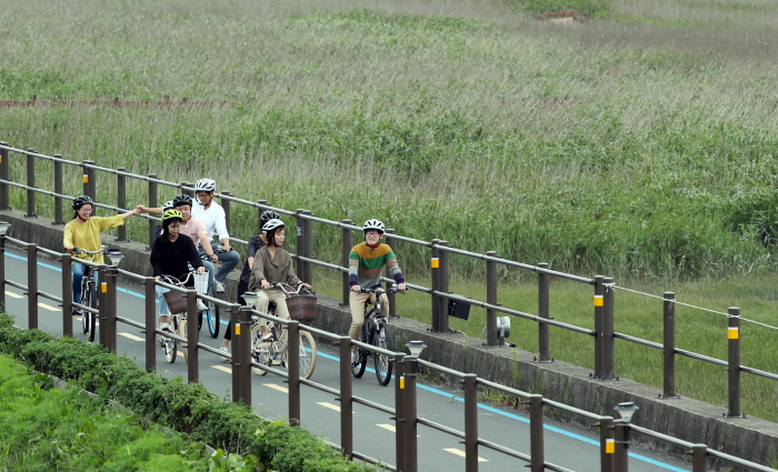 강진만 춤추는 갈대축제 2019