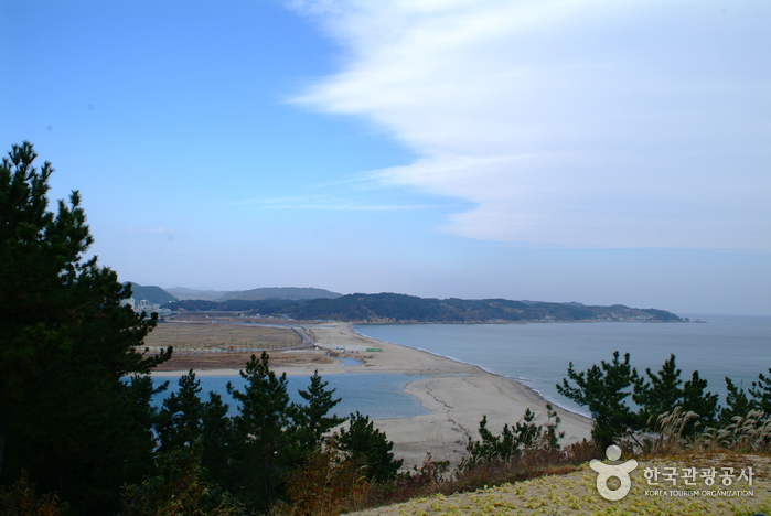 망양정