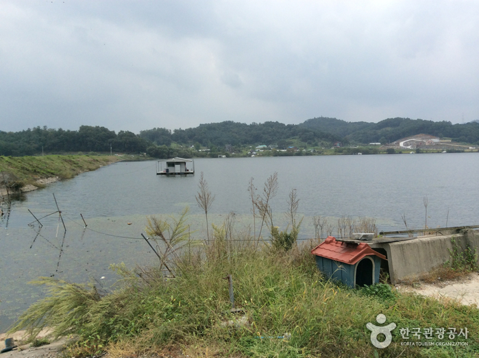 면천낚시터