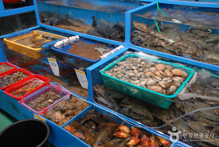 무창포어촌체험마을