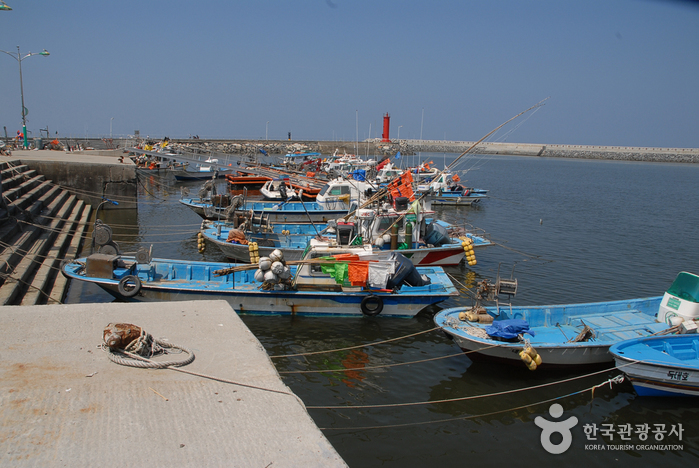 무창포어촌체험마을