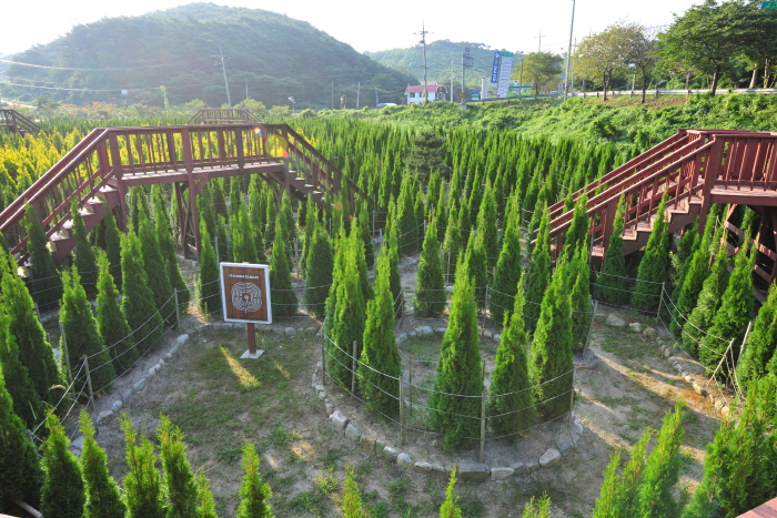 안면도 미로공원