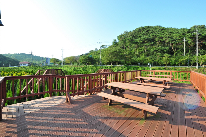 안면도 미로공원