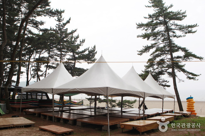 춘장대해수욕장