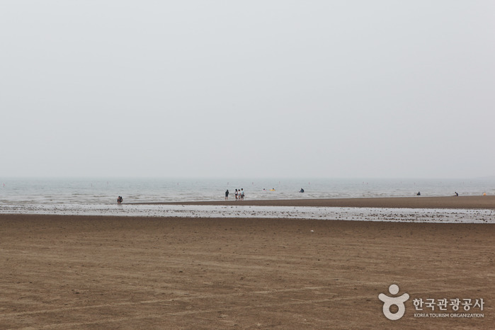 춘장대해수욕장