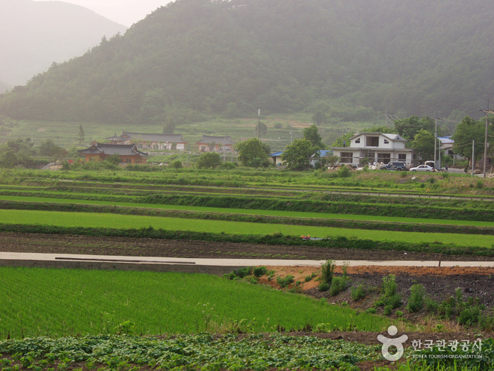 양양 송천떡마을