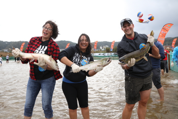 양양연어축제