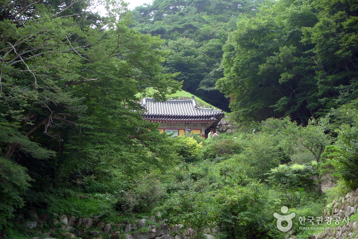 경주 석굴암 [유네스코 세계문화유산]