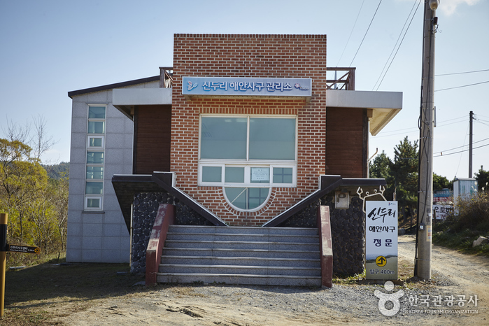 태안 신두리 해안사구