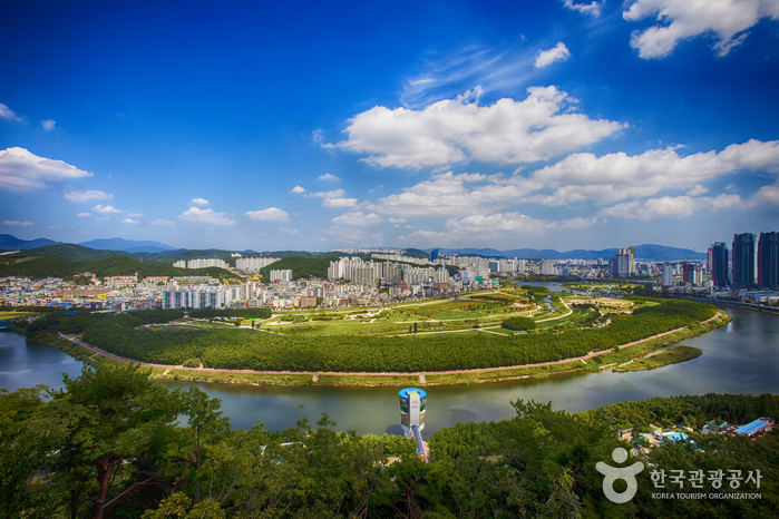 태화강 국가정원 십리대숲 (은하수길)