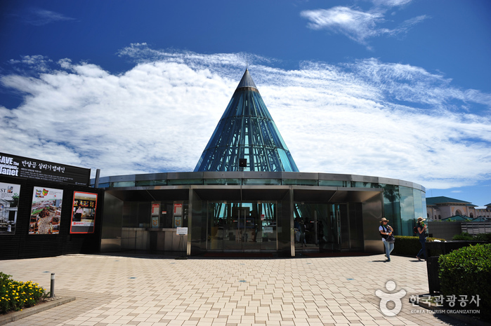 테디베어뮤지엄 제주