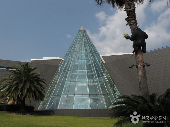 테디베어뮤지엄 제주