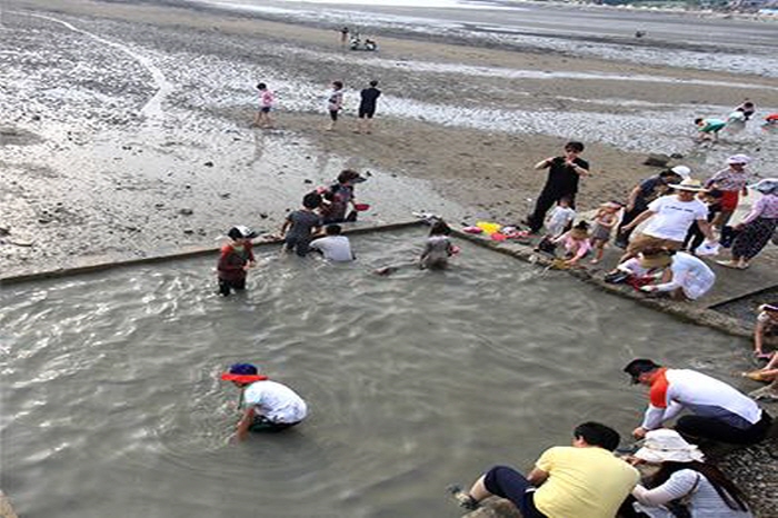 여수 여자만 갯벌노을축제