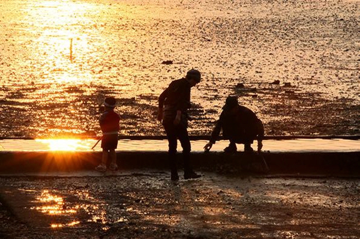 여수 여자만 갯벌노을축제