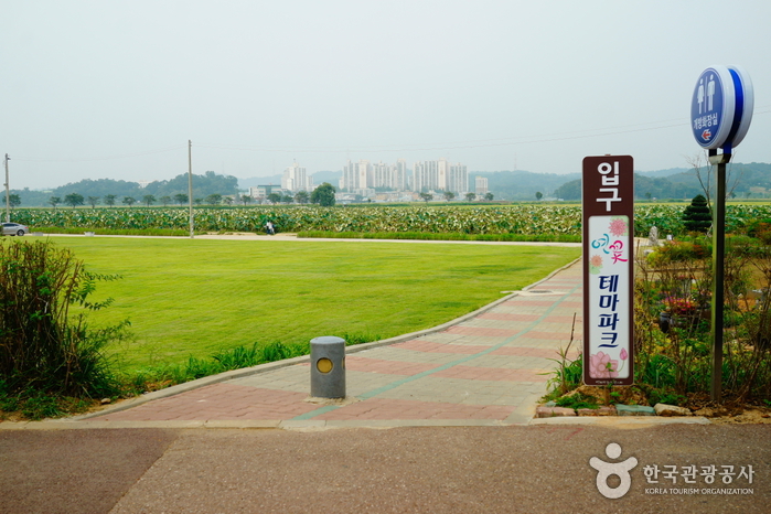 연꽃테마파크